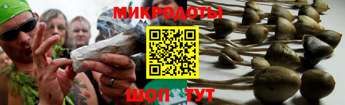 Псилоцибиновые грибы Psilocybe Нягань